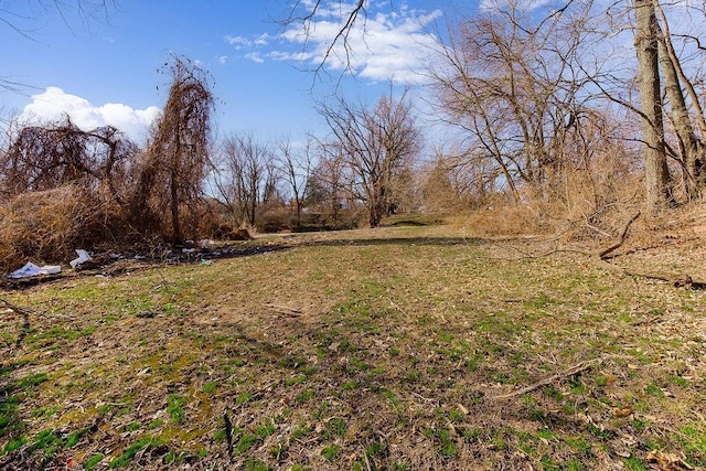 1342 Webster Ave, Kansas City, KS 66104