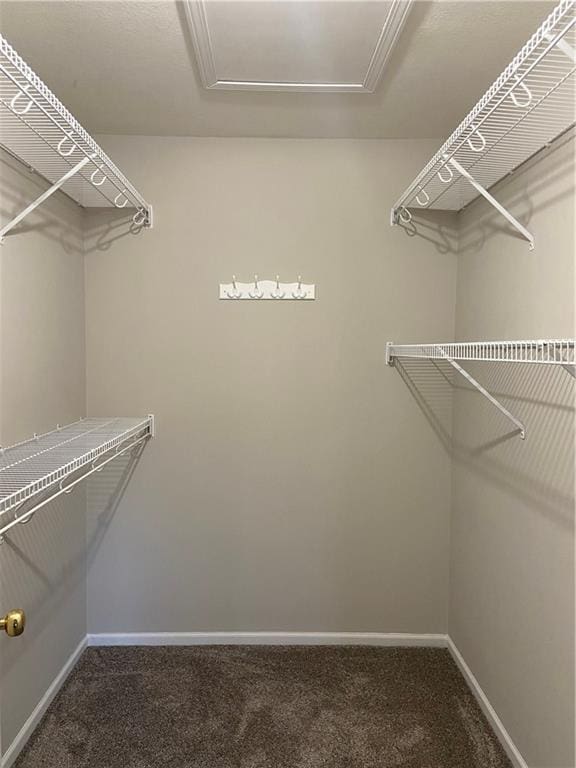 spacious closet featuring carpet floors and attic access