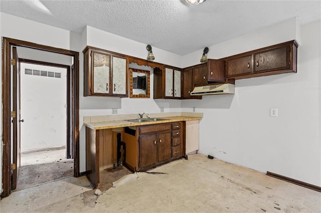 kitchen featuring dark brown cabinetry, under cabinet range hood, a textured ceiling, and a sink