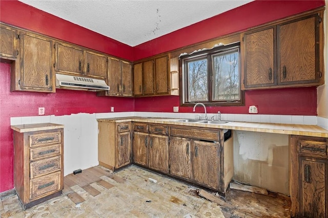 kitchen featuring a sink, light countertops, a textured ceiling, and exhaust hood