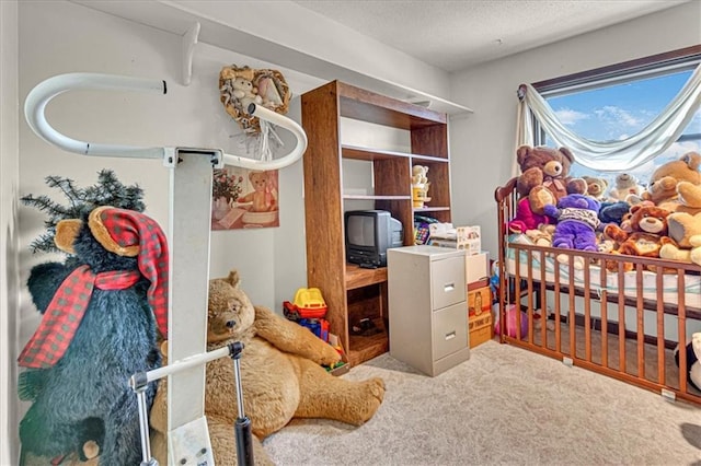 carpeted bedroom with a textured ceiling