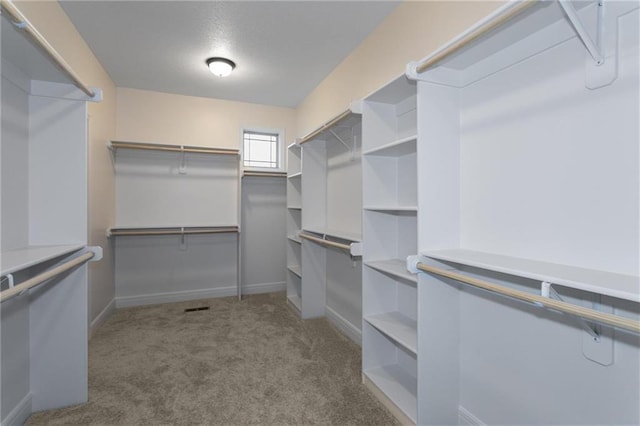 walk in closet featuring carpet flooring