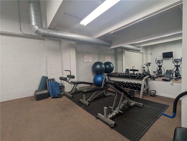 exercise room featuring carpet flooring