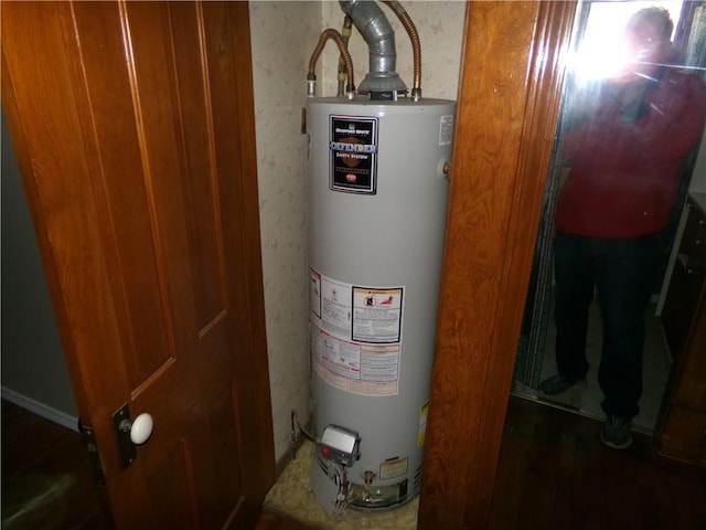 utility room with gas water heater