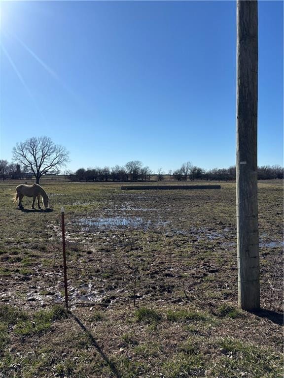 view of yard with a rural view