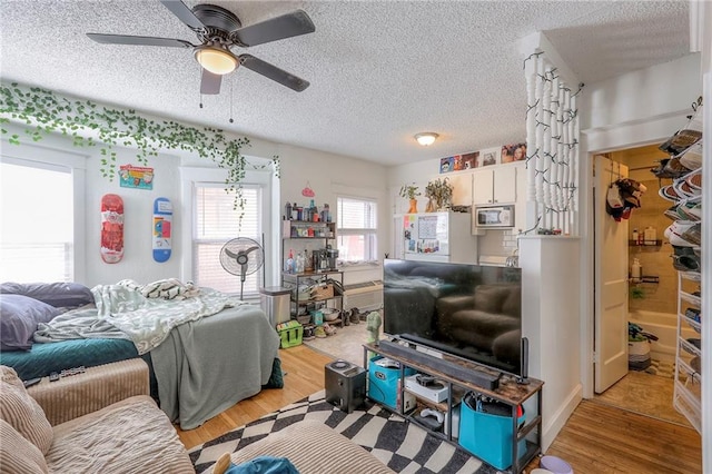 living area featuring a textured ceiling, a ceiling fan, and wood finished floors