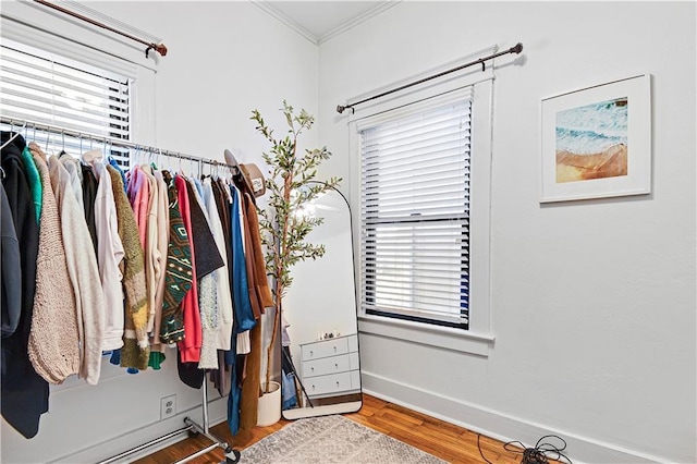 walk in closet featuring wood finished floors