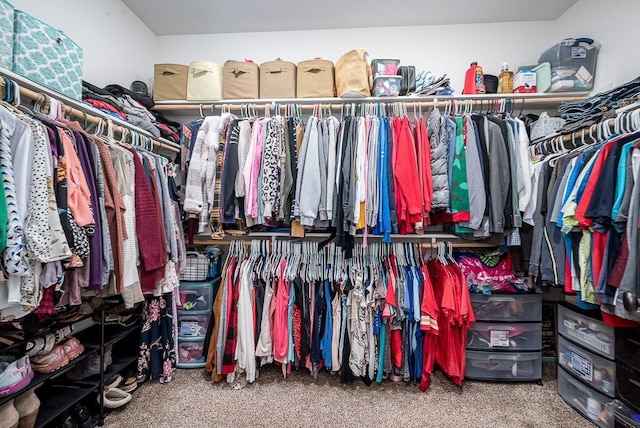 spacious closet with carpet flooring