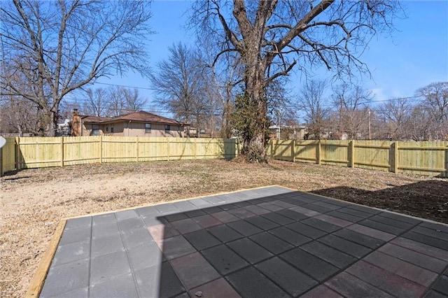 view of yard with a patio area and a fenced backyard