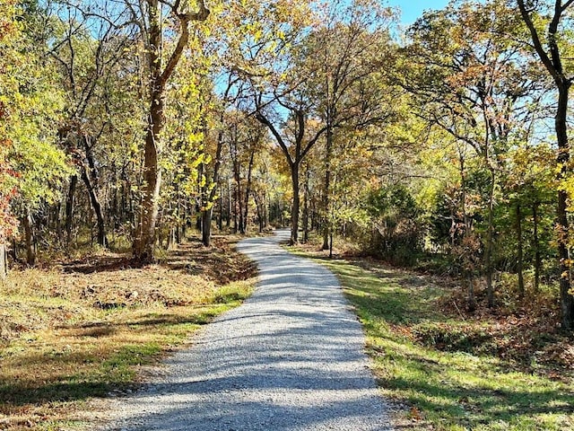 view of road with a view of trees