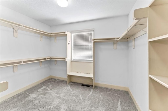 spacious closet with carpet and visible vents