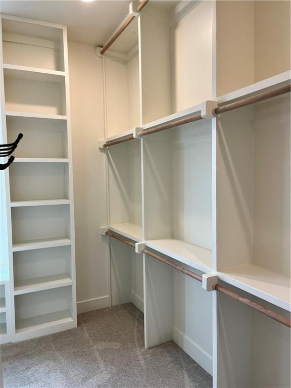 spacious closet featuring light colored carpet