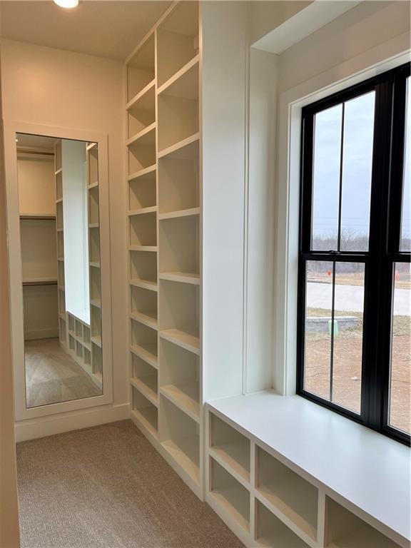 mudroom featuring carpet