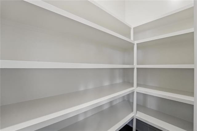 1510 NW 106th Ter, Kansas City, MO 64155 - view of pantry