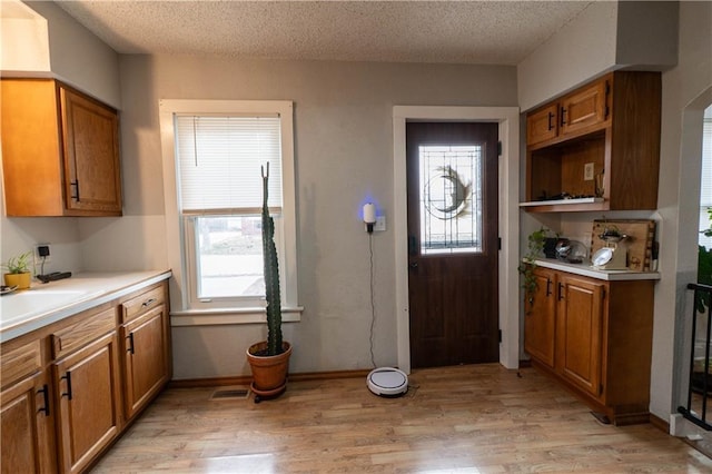 kitchen featuring a healthy amount of sunlight, visible vents, and light wood-style floors