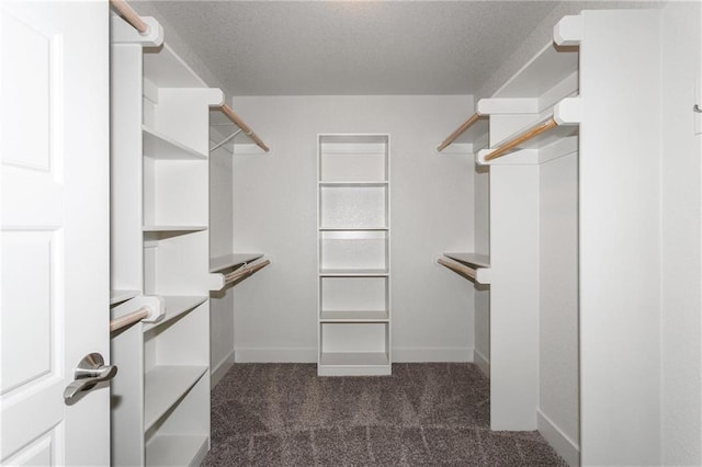 spacious closet with dark colored carpet