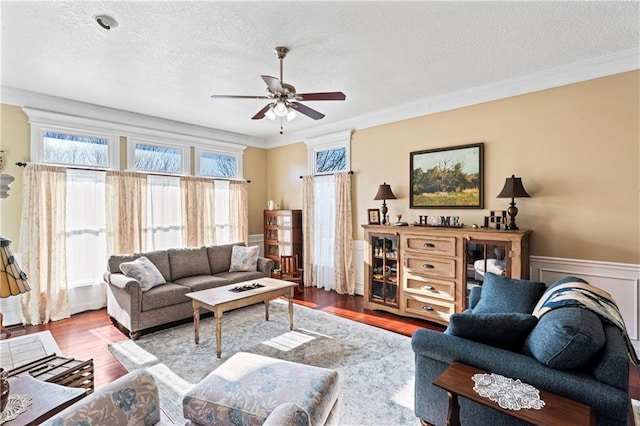 living room featuring a textured ceiling, ceiling fan, wood finished floors, ornamental molding, and wainscoting