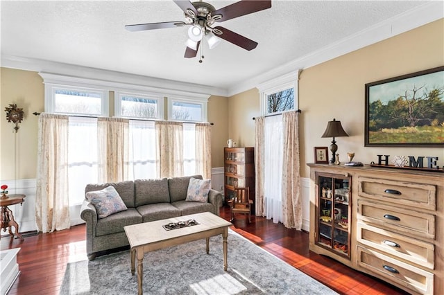 living room with ceiling fan, crown molding, a textured ceiling, and hardwood / wood-style flooring