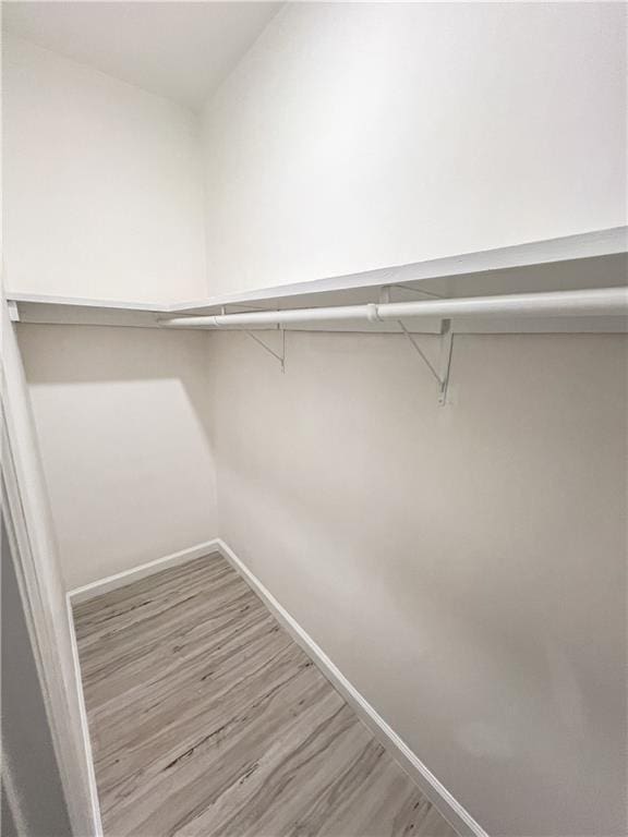 walk in closet with wood finished floors