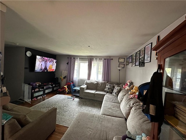 living room featuring dark wood-style flooring