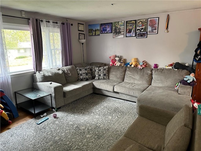 living area with wood finished floors
