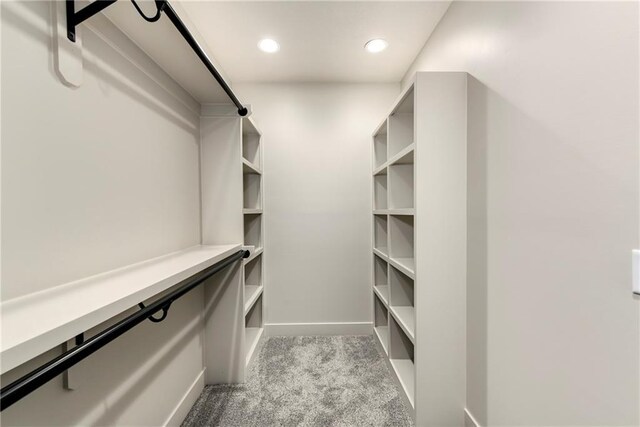 spacious closet with carpet