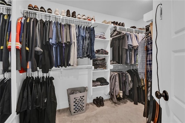 spacious closet featuring carpet