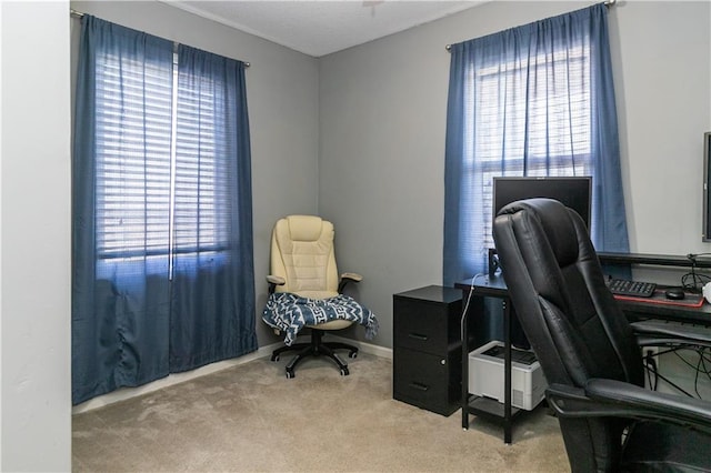 office space featuring baseboards and carpet floors