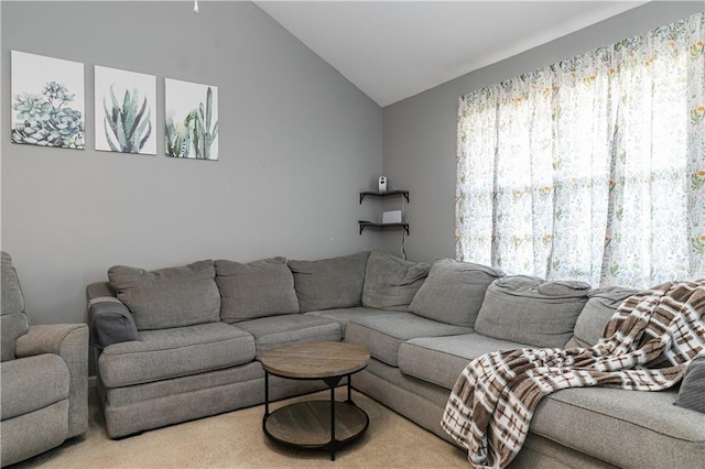 living room featuring lofted ceiling