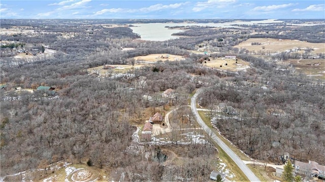 4623 Whispering Oaks Ln, Smithville, MO 64089 - drone / aerial view