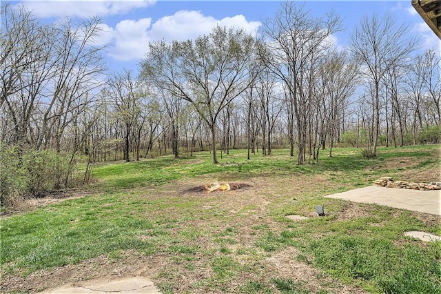 4623 Whispering Oaks Ln, Smithville, MO 64089 - view of yard