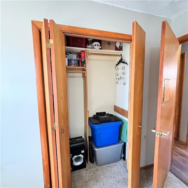 view of closet