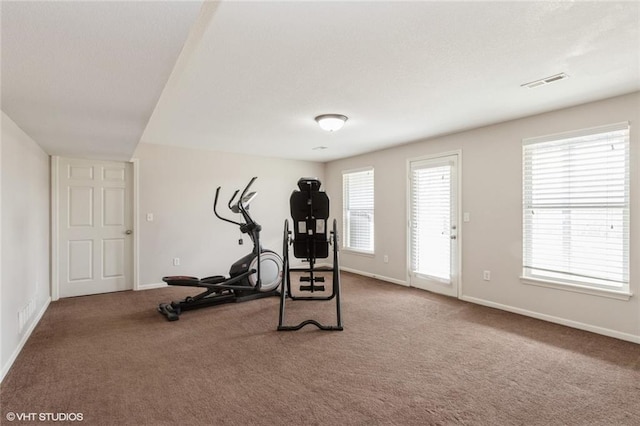 workout area with a wealth of natural light, visible vents, and carpet floors