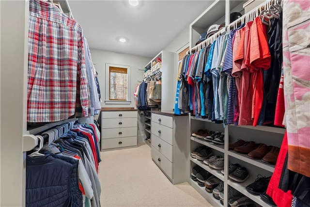 spacious closet featuring carpet flooring