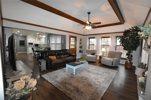 living area featuring baseboards, dark wood finished floors, crown molding, and ceiling fan with notable chandelier