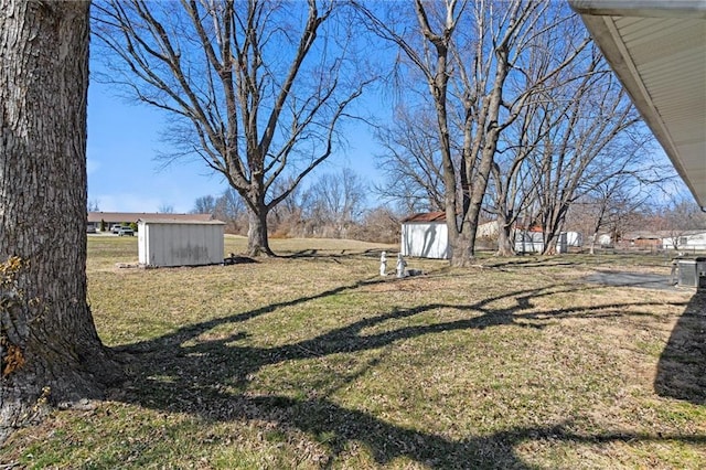 view of yard featuring an outbuilding and a shed