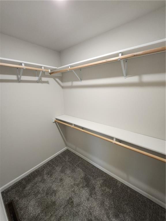 spacious closet featuring carpet flooring