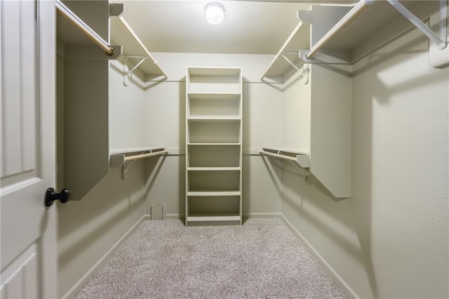 spacious closet with carpet floors