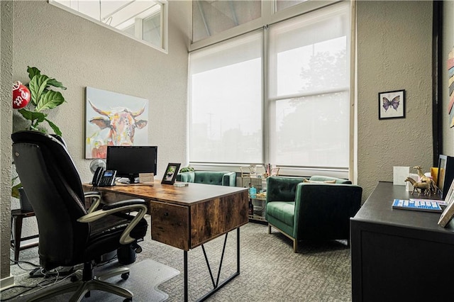 office space with carpet floors and a textured wall