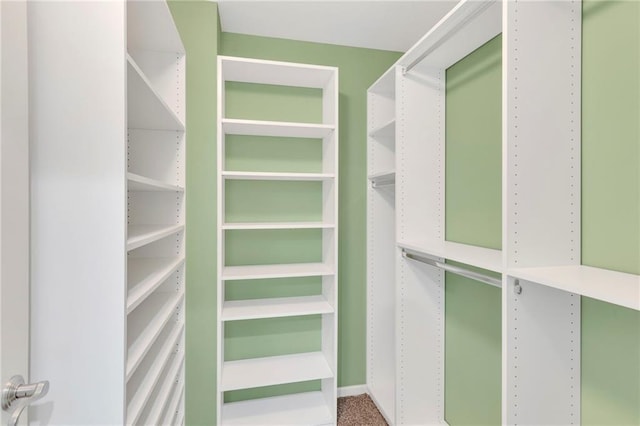 spacious closet with carpet