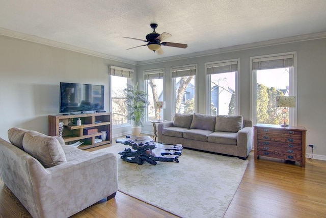 living area with baseboards, a textured ceiling, wood finished floors, and ornamental molding