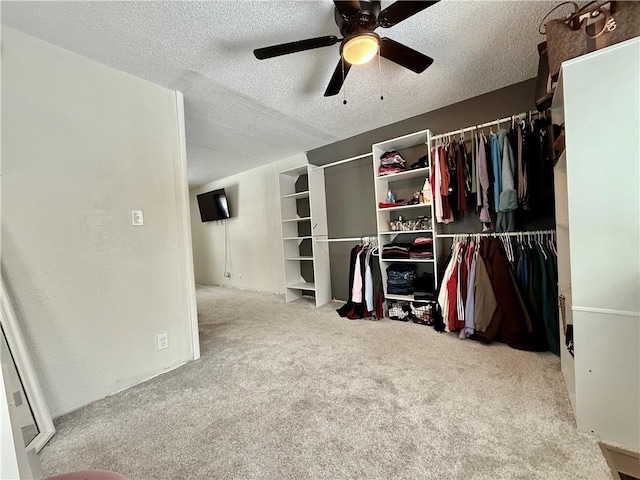 walk in closet featuring a ceiling fan and carpet floors