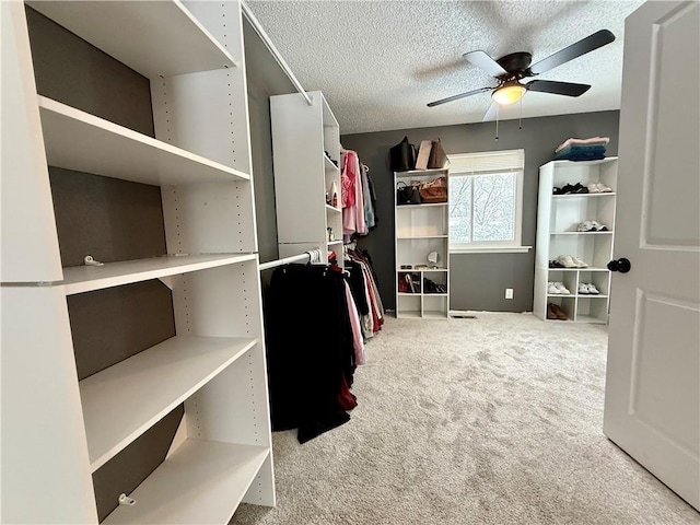 walk in closet with ceiling fan and carpet floors