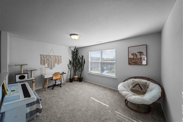 office featuring a textured ceiling, baseboards, and carpet flooring