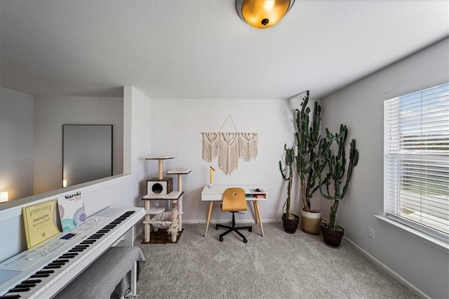 home office featuring a textured ceiling, baseboards, and carpet flooring