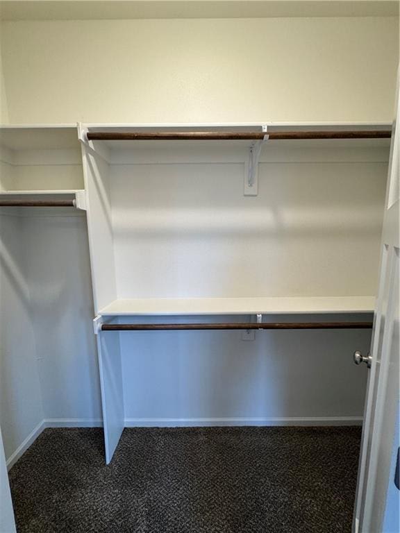 walk in closet with dark colored carpet