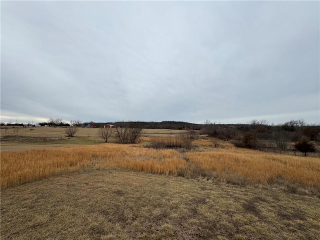 view of yard with a rural view