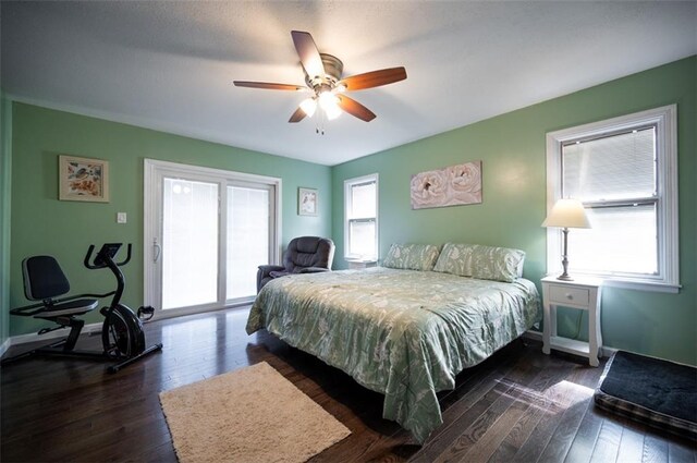 bedroom with dark wood-style floors, multiple windows, and access to exterior