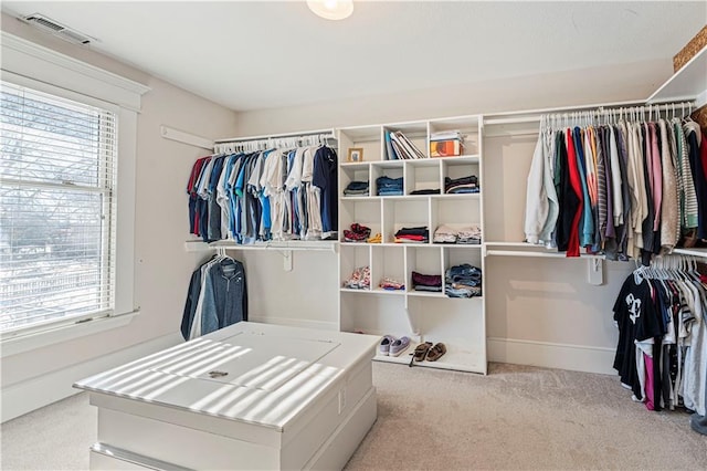 walk in closet with visible vents and carpet flooring