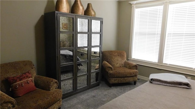 sitting room with carpet floors